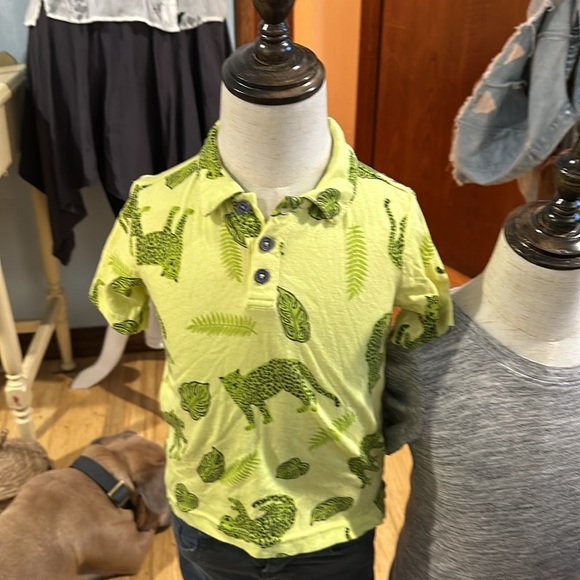 Fab kids button down short sleeves collared shirt - Picture 2 of 6